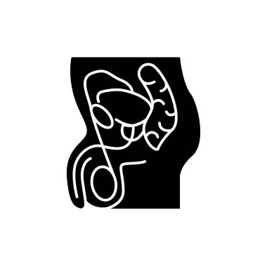 Erkek üreme sistemi renk çizgisi simgesi. Web sayfası, mobil uygulama, tanıtım için resim grafiği.