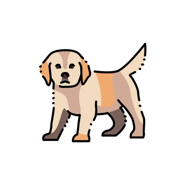 Debout Golden Retriever Chiot Couleur Ligne Icône Pictogramme Pour Page — Image vectorielle