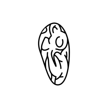 Biftek omuz renk çizgisi simgesi. Et doğrama. Web sayfası, mobil uygulama, tanıtım için resim grafiği.