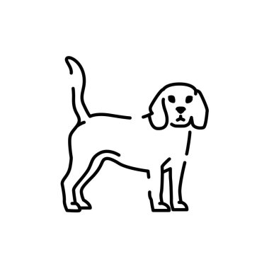 Beagle color line icon. Dog breed. Pictogram for web page, mobile app, promo.