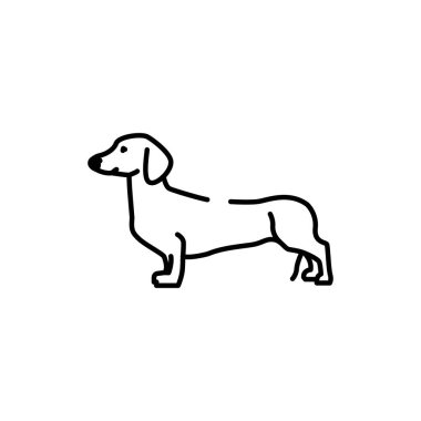 Dachshund color line icon. Dog breed. Pictogram for web page, mobile app, promo.