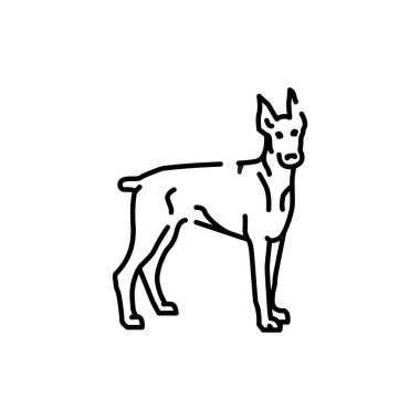Doberman color line icon. Dog breed. Pictogram for web page, mobile app, promo.