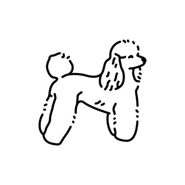 Poodle color line icon. Dog breed. Pictogram for web page, mobile app, promo.