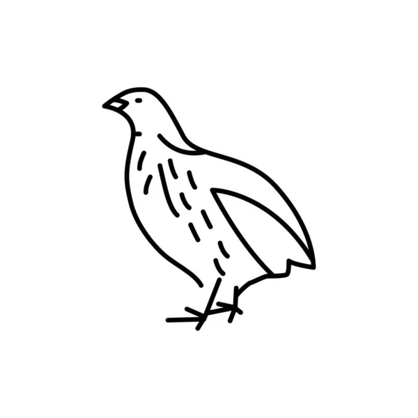 Icône de ligne de couleur oiseau caille. Pictogramme pour page web — Image vectorielle