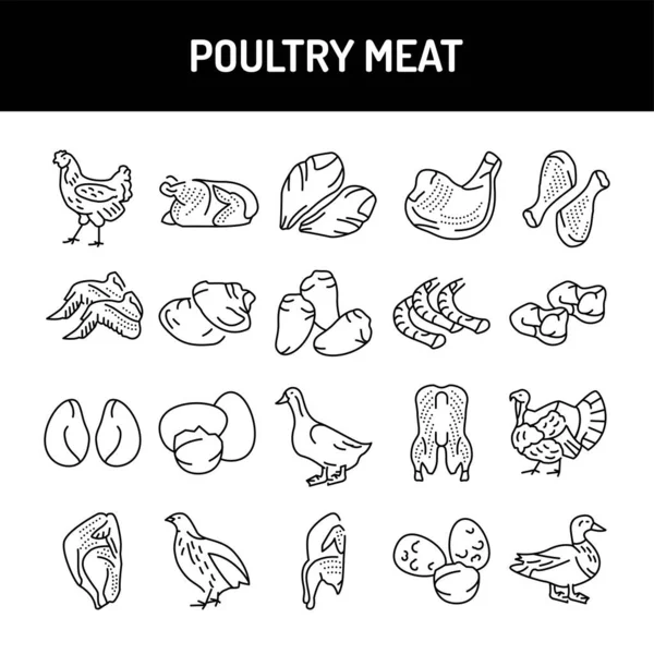 Farbsymbole für Geflügelfleisch gesetzt. Piktogramme für Webseite — Stockvektor