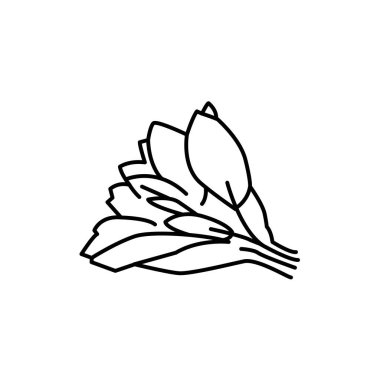 Adaçayı rengi çizgi simgesi. Web sayfası, mobil uygulama, tanıtım için resim grafiği.