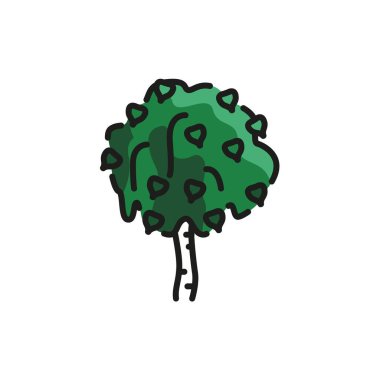 Huş ağacı renk çizgisi simgesi. Web sayfası, mobil uygulama, tanıtım için resim grafiği.