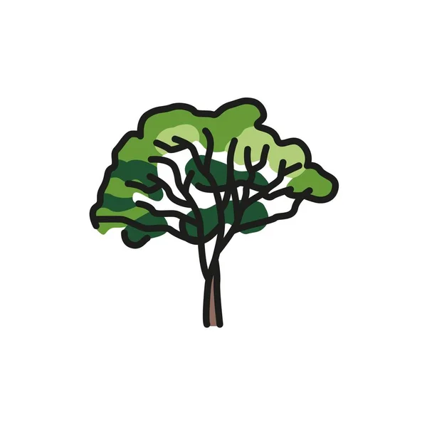 Okaliptüs Ağacı Renk Çizgisi Simgesi Web Sayfası Mobil Uygulama Tanıtım — Stok Vektör