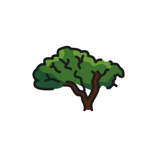 Velvet Amur Tree Color Line Icon Pictogram Web Page Mobile — стоковый вектор