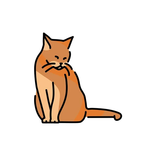 Cat enjoy rest color line icon. Pictogram for web page - Stok Vektor
