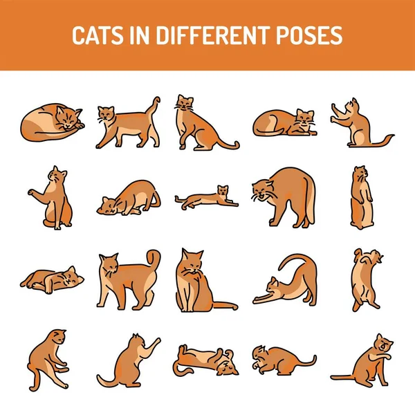 Different poses of cats line icons set. Isolated vector element. — 스톡 벡터