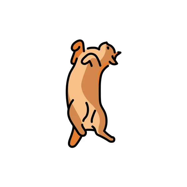 Cat stands in the position of a gopher color line icon. Pictogram