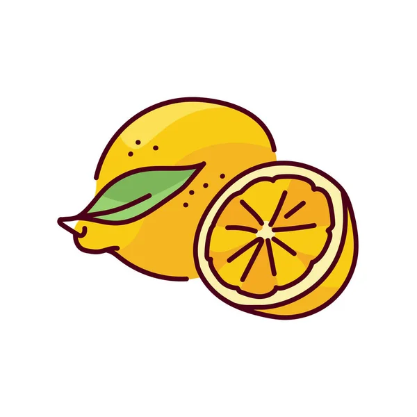 レモンとハーフカラーのラインアイコン ウェブページ モバイルアプリ プロモーションのためのピクトグラム — ストックベクタ