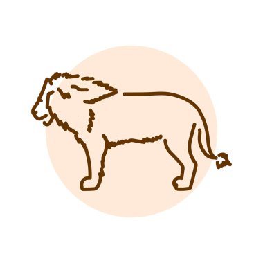 Aslan rengi çizimi. Afrika Hayvanları