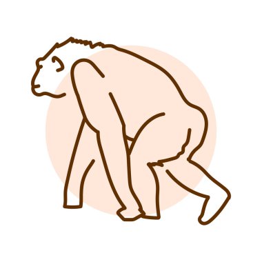 Şempanze renk çizgisi çizimi. - Evet. Avustralya Hayvanları.