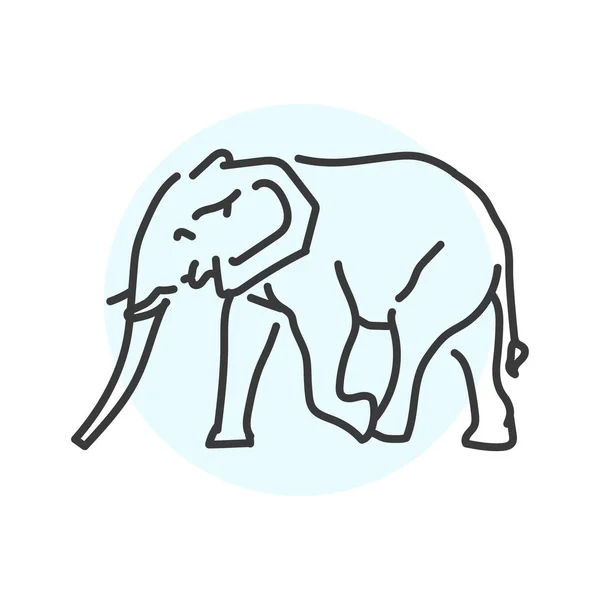 Afrikai Elefánt Színes Vonal Illusztráció Afrikai Állatok — Stock Vector