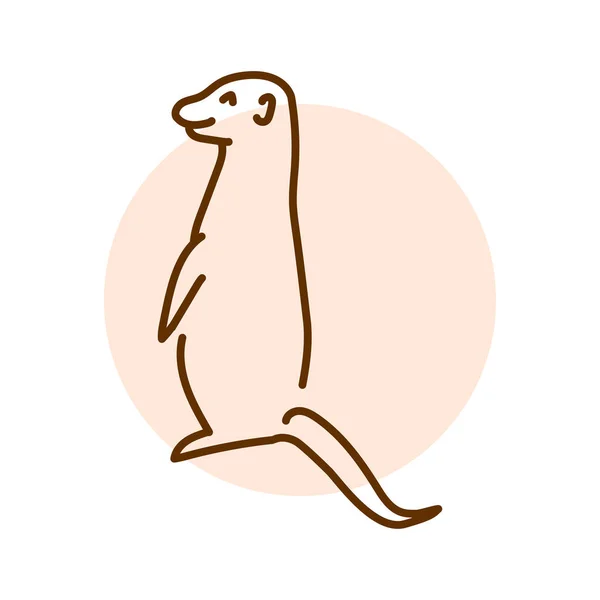 Meerkat彩色线条插图 非洲动物 — 图库矢量图片