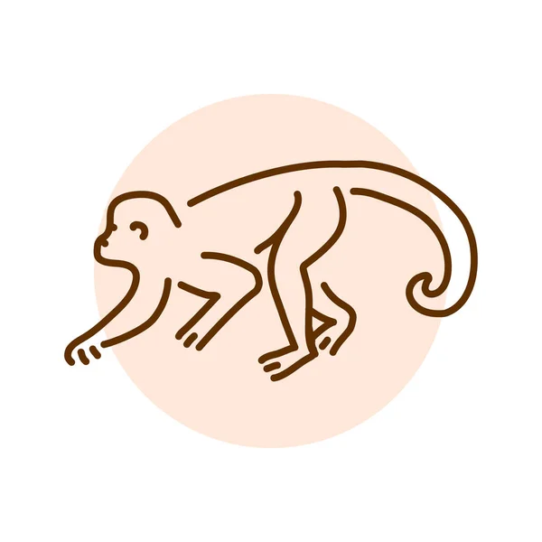 Иллюстрация Обезьяньего Цвета Животные Африки — стоковый вектор