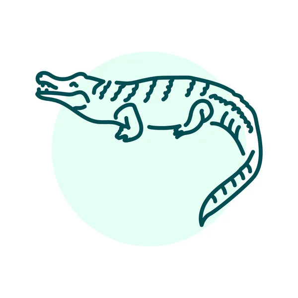 Κροκόδειλος Έγχρωμη Γραμμή Εικονογράφηση Ζώα Της Αυστραλίας — Διανυσματικό Αρχείο