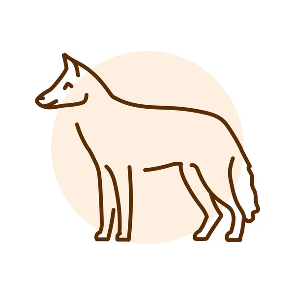 Chacal Ilustração Linha Cores Animais Austrália — Vetor de Stock