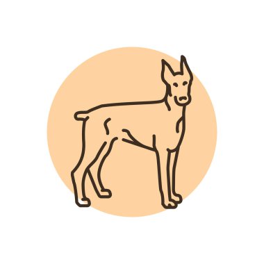 Doberman color line icon. Dog breed. Pictogram for web page, mobile app, promo.