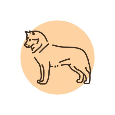 Siberian Husky color line icon. Dog breed. Pictogram for web page, mobile app, promo.