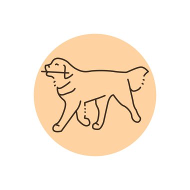 Golder Retriever bir çizgi simgesi taşıyor. Web sayfası, mobil uygulama, tanıtım için resim grafiği.