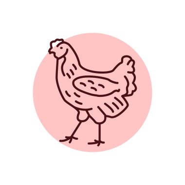 Tavuk kuşu renkli çizgi simgesi. Web sayfası, mobil uygulama, tanıtım için resim grafiği.
