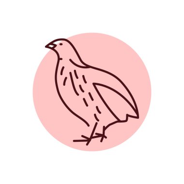 Bıldırcın kuşu renk çizgisi simgesi. Web sayfası, mobil uygulama, tanıtım için resim grafiği.