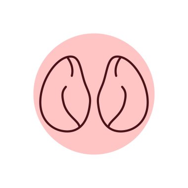 Tavuk böbreği renk çizgisi ikonu. Et doğrama. Web sayfası, mobil uygulama, tanıtım için resim grafiği.