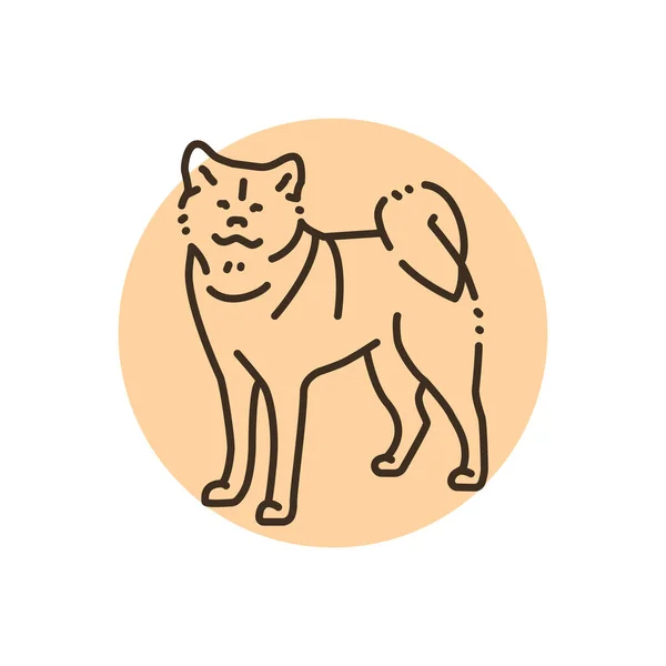 Akita Inu Color Line Icon Dog Breed Pictogram Web Page — Vettoriale Stock