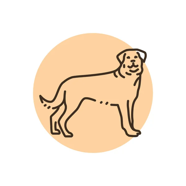 Rottweiler Color Line Icon Dog Breed Pictogram Web Page Mobile — Vettoriale Stock