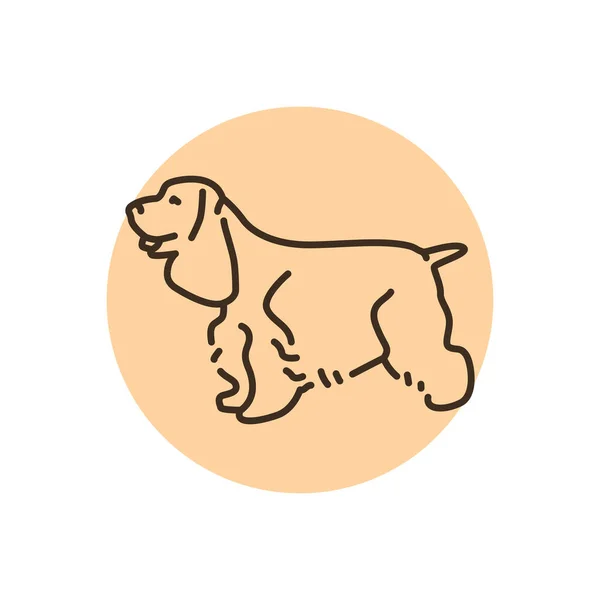 Spaniel Color Line Icon Dog Breed Pictogram Web Page Mobile —  Vetores de Stock