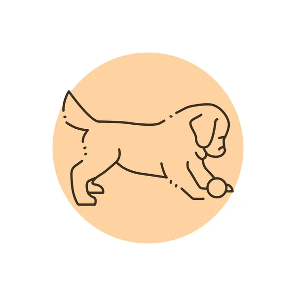 Golden Retriever Puppy Spelen Bal Kleur Lijn Pictogram Pictogram Voor — Stockvector