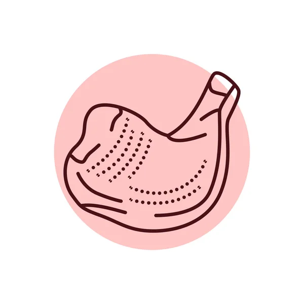 Chicken Quarter Color Line Icon Cutting Meat Pictogram Web Page — ストックベクタ