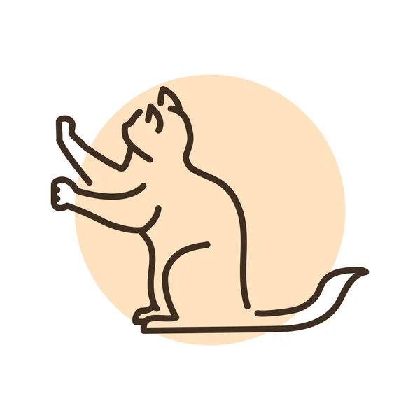 Sitting Cat Sharpens Its Claws Color Line Icon Pictogram Web —  Vetores de Stock