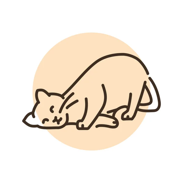 Happy Cat Caresses Color Line Icon Pictogram Web Page Mobile — Vetor de Stock