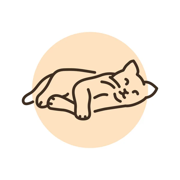 Happy Sleeping Cat Color Line Icon Pictogram Web Page Mobile — Vector de stock