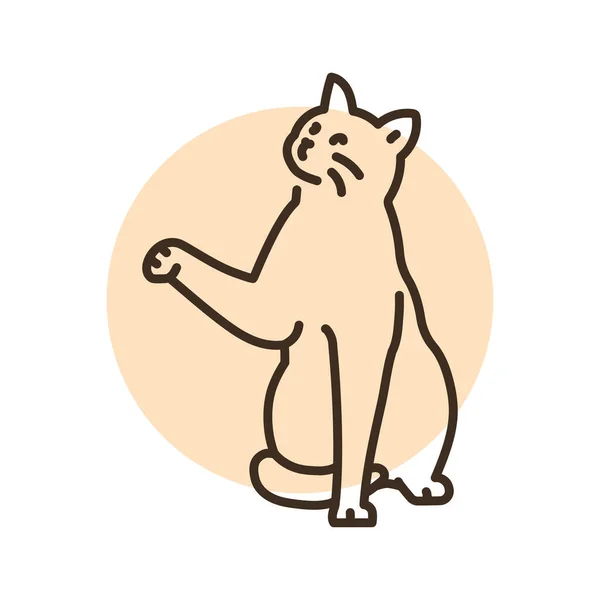 Sitting Cat Paw Color Line Icon Pictogram Web Page Mobile —  Vetores de Stock