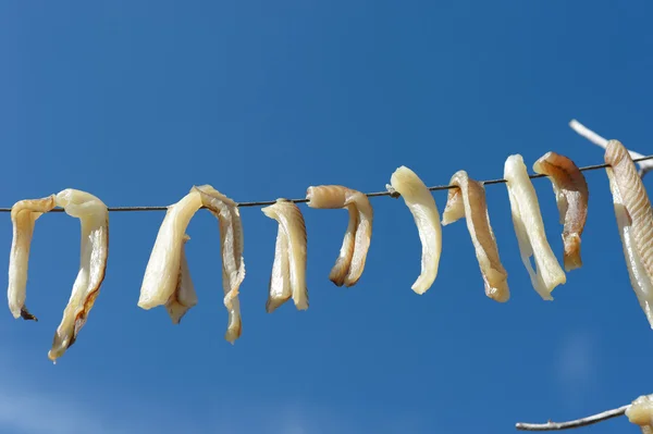 Pescado seco — Foto de Stock