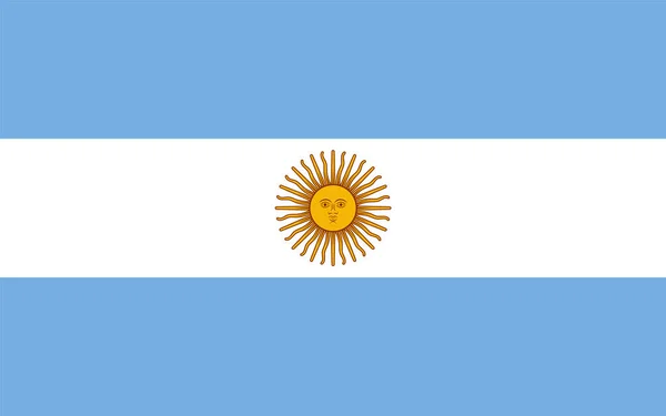 Bandeira Precisa Argentina Termos Tamanho Colocação Elementos Cores Escala — Vetor de Stock