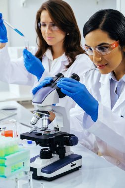 Laboratuvarda deney tüpleri ve mikroskop ile çalışan iki güzel bayan bilim adamı araştırma yapıyor. 