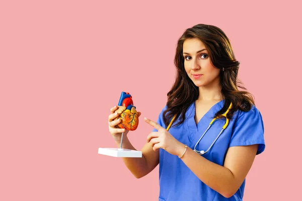 Female Doctor Cardiologist Blue Uniform Stethoscope Holding Model Human Heart — Stock Photo, Image
