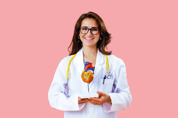 Lékařka Kardioložka Stetoskopem Drží Rukou Model Lidského Srdce — Stock fotografie