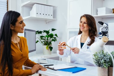 Gülümseyen kadın doktor kadın hastaya insan çenesi ve diş modeli gösteriyor 