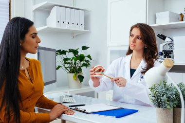 Gülümseyen kadın doktor kadın hastaya insan çenesi ve diş modeli gösteriyor 