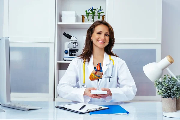 Ofiste gülümseyen güzel bayan doktor insan kalbi modelini gösteriyor.