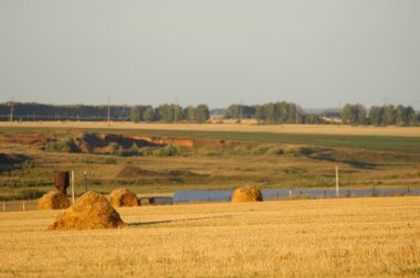 rulo bir alan olarak