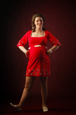 hamile, hamile, enceinte, gravid, parturient, emdirilmiş,