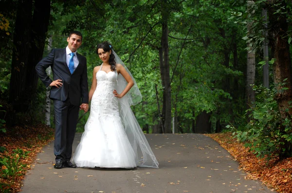 Die Hochzeit, zwei junge Männer — Stockfoto